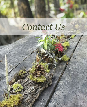 Contact Sharlet Floral